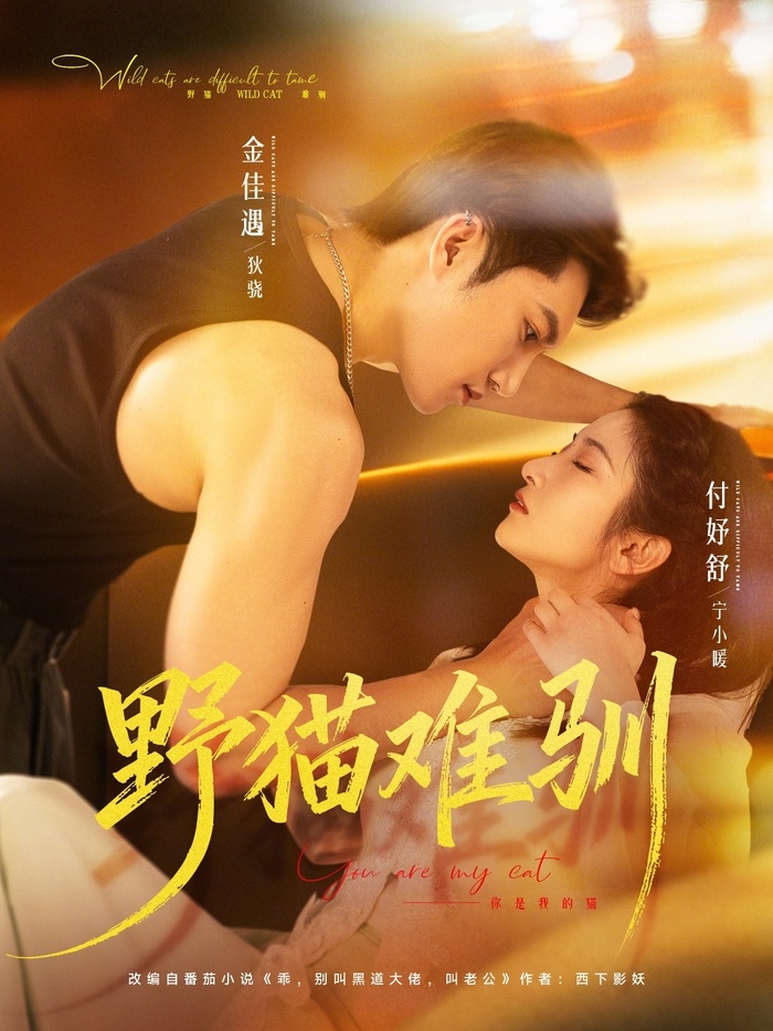 Poster phim Mèo Hoang Khó Thuần